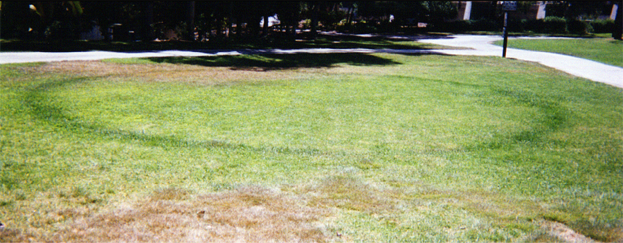 lawn x earthwork conceptual art process action jim piatt UCSD