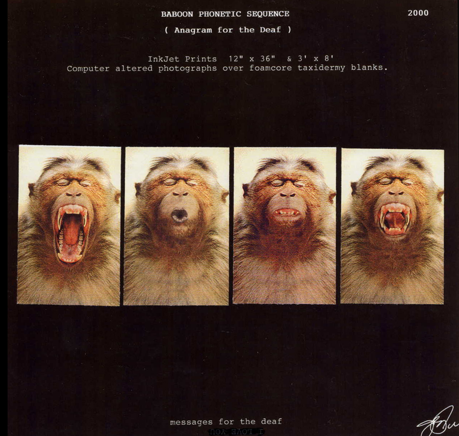 phonetic alphabet conceptual art