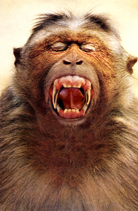 phonetic alphabet conceptual art