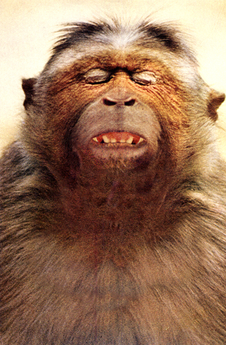 phonetic alphabet conceptual art