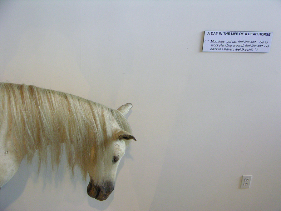 day in the life of a dead horse dada conceptual art